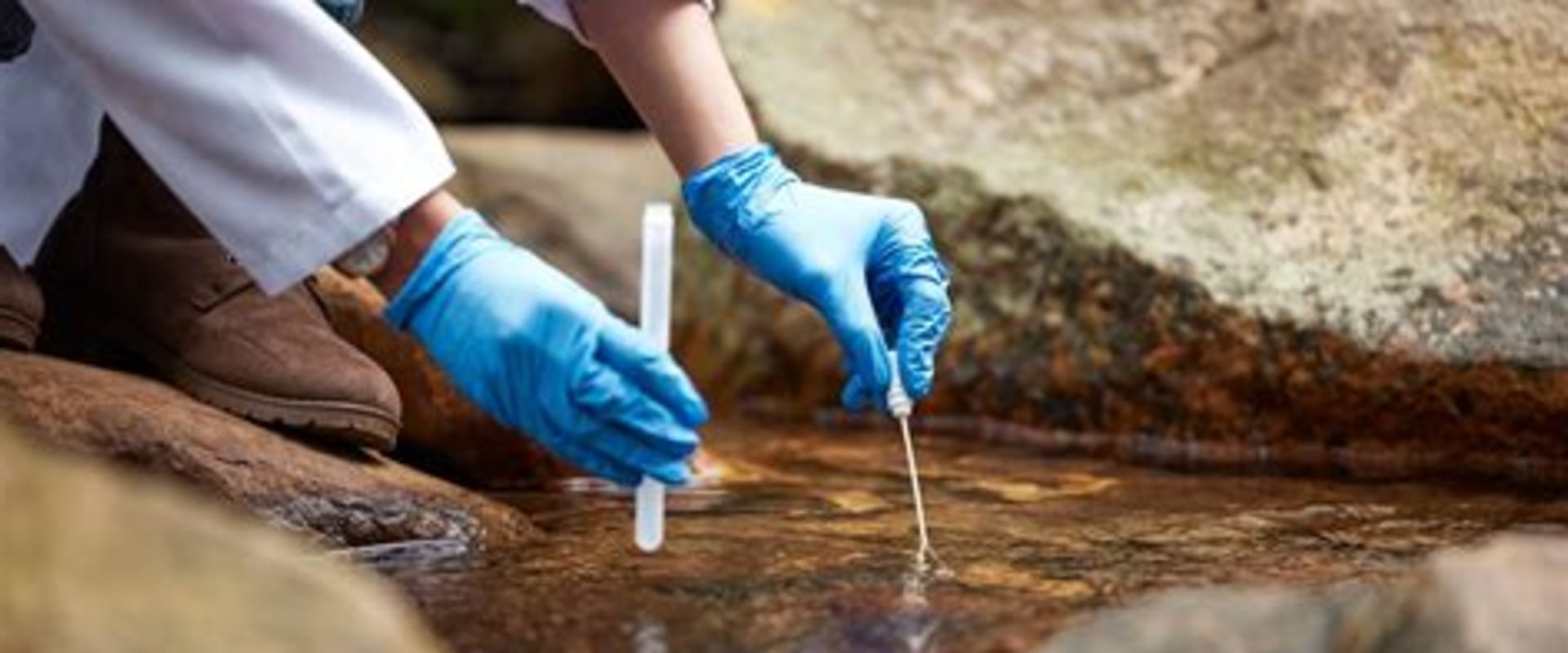 Understanding Water Quality Testing in Central Indiana