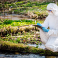 Finding the Right Certified Environmental Testing Company in Indianapolis